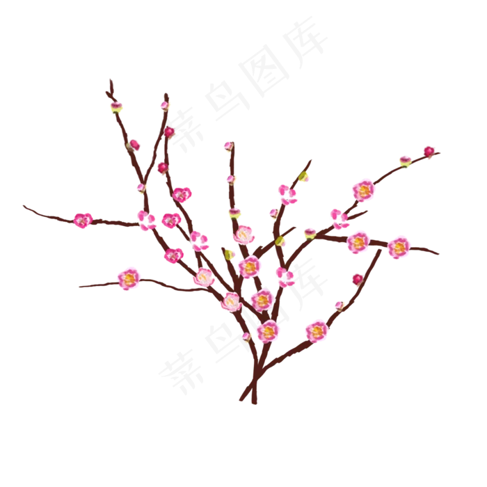 手绘节日插花干花花枝花朵(2000X2000(DPI:300))psd模版下载
