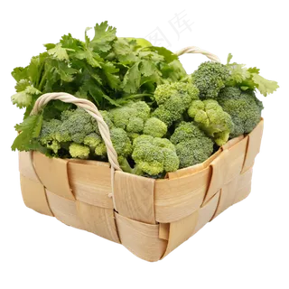 西蓝花香菜蔬菜