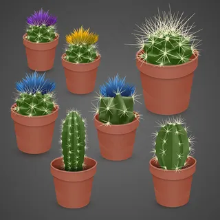 在黑暗背景下分离的开花仙人掌