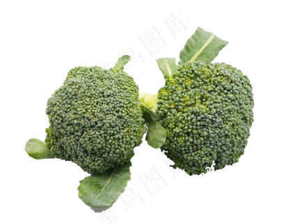 新鲜蔬菜西兰花