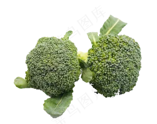 新鲜蔬菜西兰花