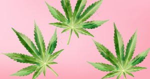 紫色背景的大麻叶水彩画