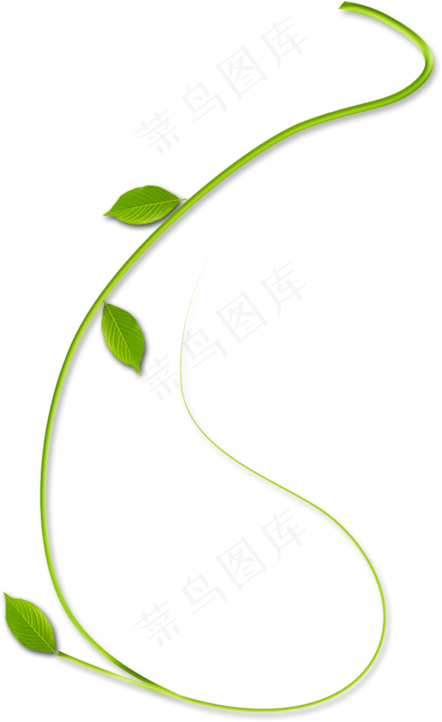 绿色的藤蔓