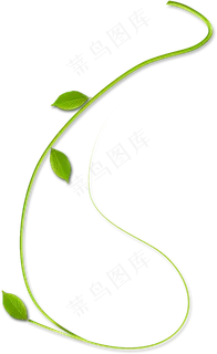 绿色的藤蔓