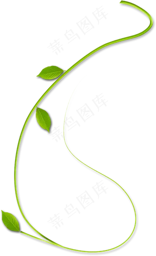 绿色的藤蔓