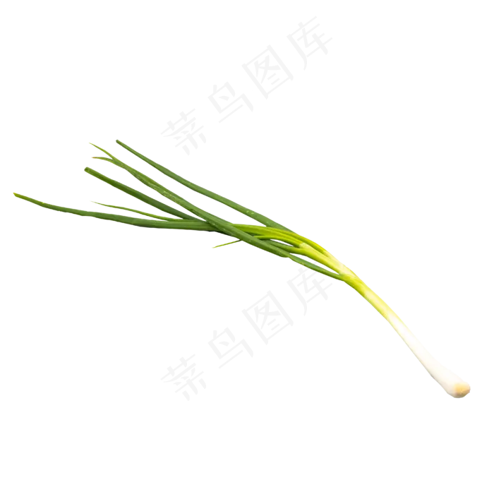一根小葱食材(2000X3000(DPI:300))