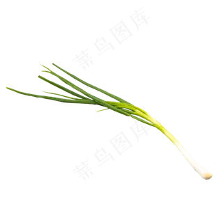 一根小葱食材