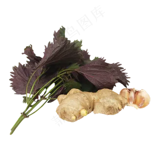 紫苏生姜大蒜调料组合