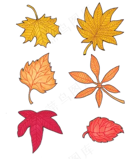 手绘立秋卡通枫叶设计元素
