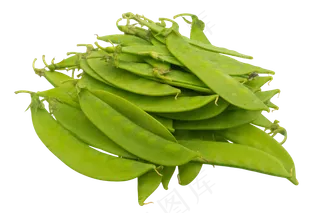 蔬菜荷兰豆