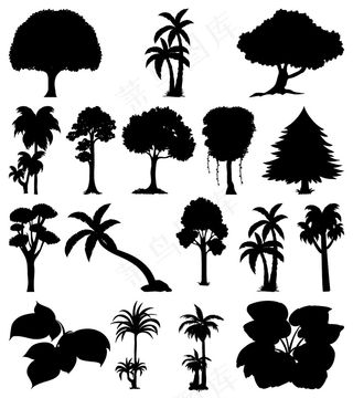 一套植物和树木的轮廓