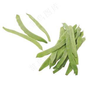 有机扁豆