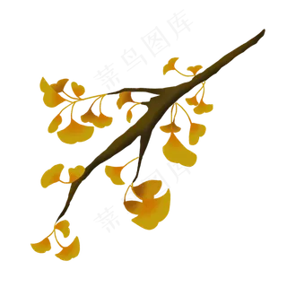 秋天银杏叶树枝