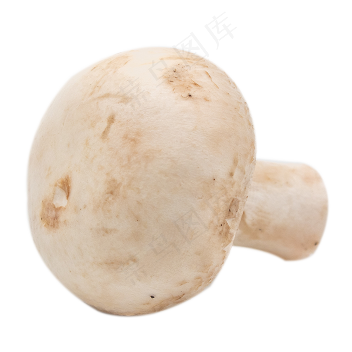 蔬菜香菇炒菜(2000*2000px 300 dpi )
