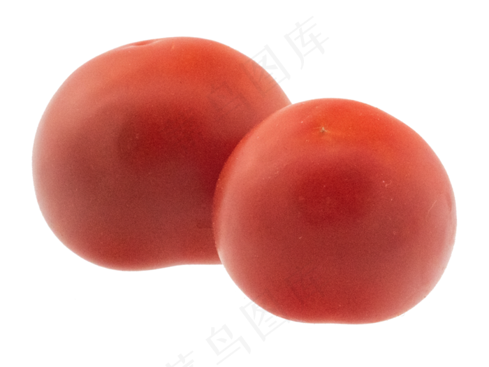 红色番茄西红柿