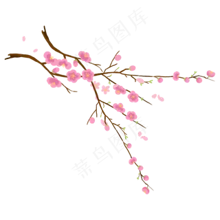 一枝粉色腊梅免抠图