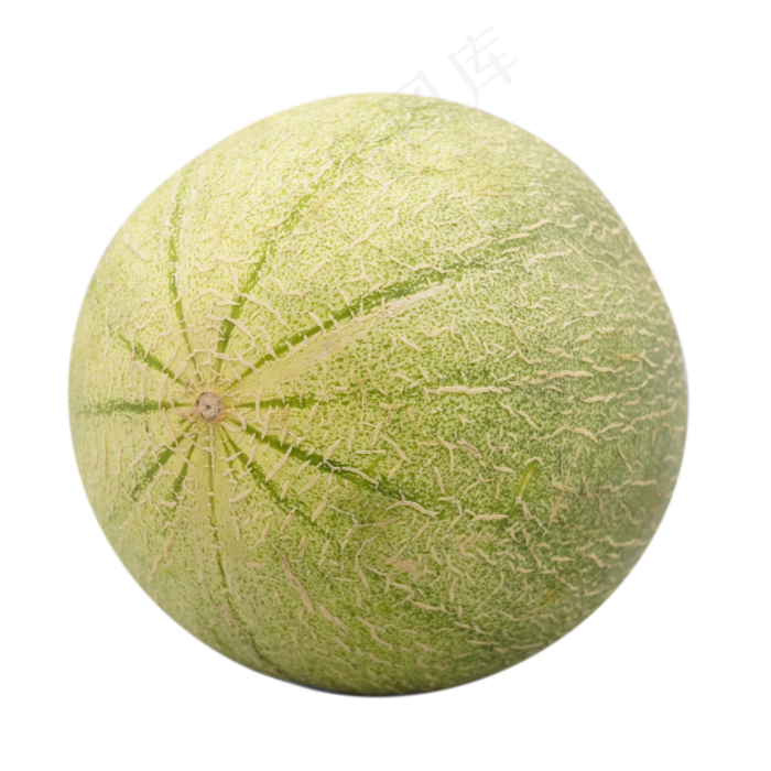 新鲜水果哈密瓜(2000*2000px 300 dpi )