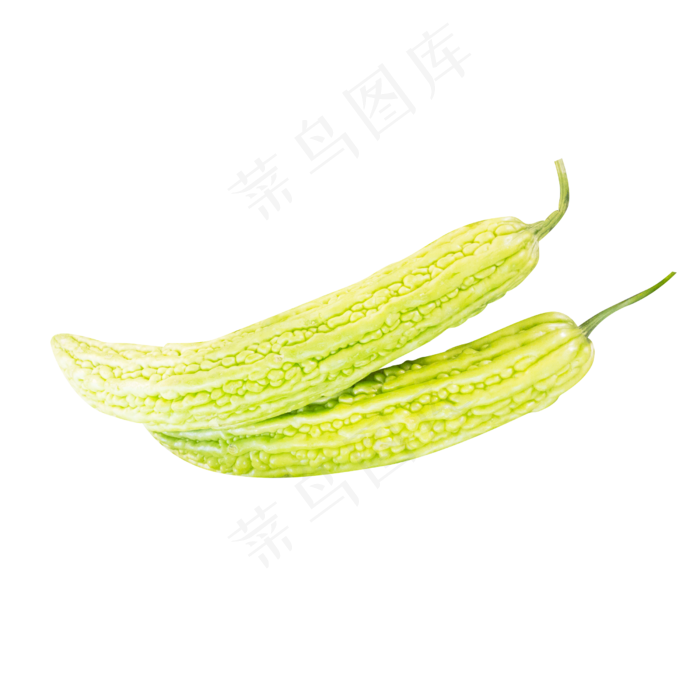 青色苦瓜(2500*2500px 300 dpi )