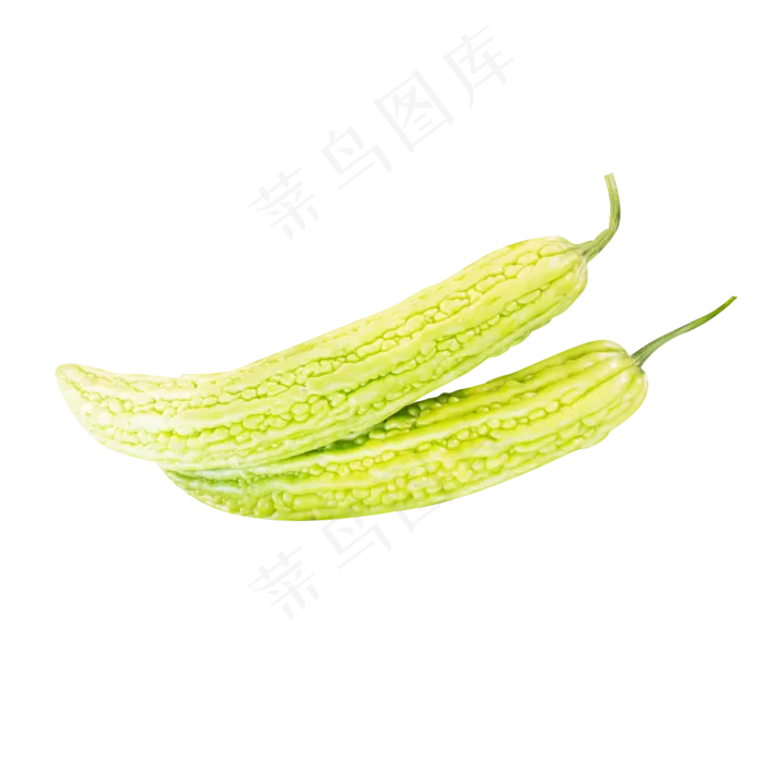青色苦瓜(2500*2500px 300 dpi )