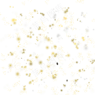 金粉亮片不规则