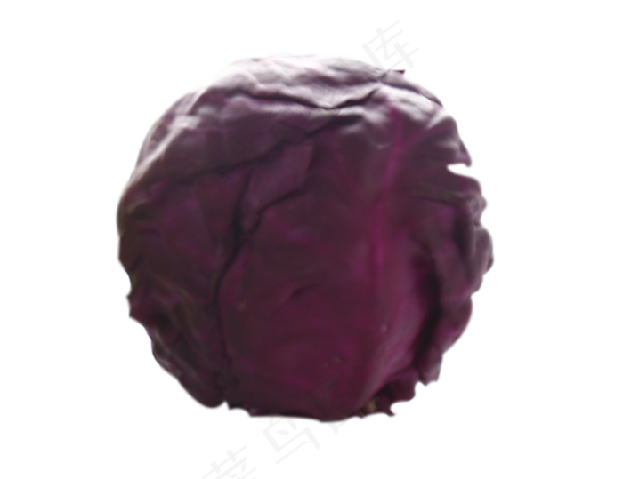 一颗紫甘蓝