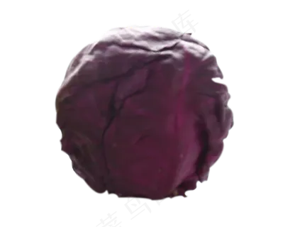 一颗紫甘蓝