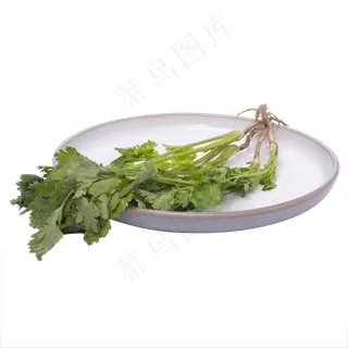 清新香菜