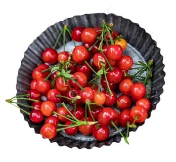 鲜红欲滴的樱桃