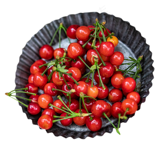 鲜红欲滴的樱桃