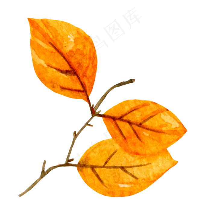 秋天树叶(1000X1006(DPI:300))psd模版下载