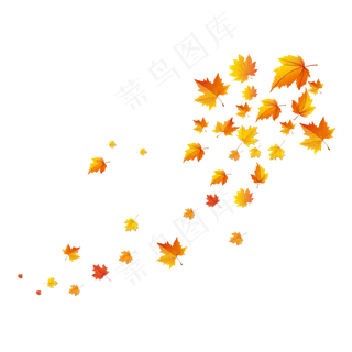 秋天风吹落的枫树叶