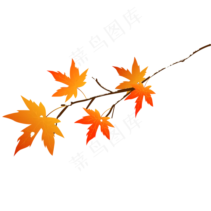 立冬红色枫叶(2000*2000px 300 dpi )ai矢量模版下载