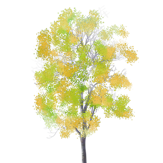 水彩秋天树木免费下载