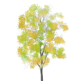 水彩秋天树木免费下载