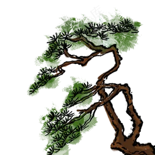 冬天松柏冬季植物大寒