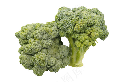 营养蔬菜西兰花