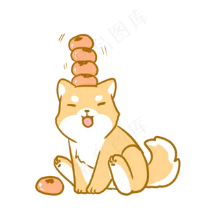 顶着柿子的柴犬