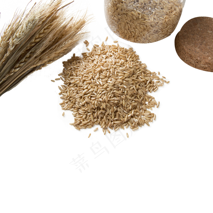 丰收谷子粮食(2000X2000(DPI:300))psd模版下载