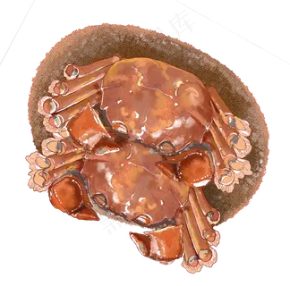 重阳节秋季螃蟹