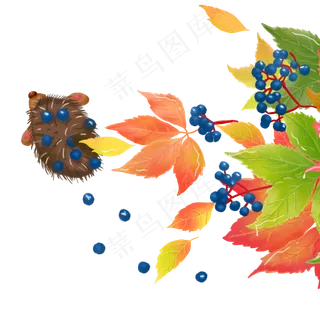 秋天枫叶小动物刺猬