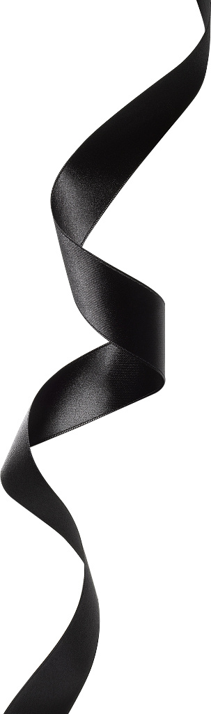 礼盒 彩带 飘带图片 蝴蝶结 礼结