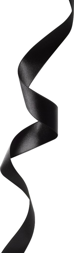 礼盒 彩带 飘带图片 蝴蝶结 礼结