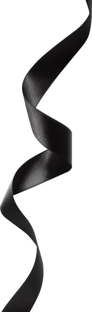 礼盒 彩带 飘带图片 蝴蝶结 礼结