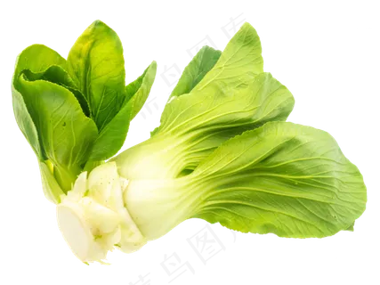 绿色油菜蔬菜 绿色油菜蔬菜