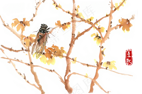 立秋树枝与秋蝉