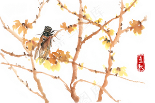 立秋树枝与秋蝉