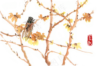 立秋树枝与秋蝉
