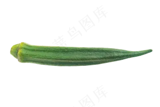 绿色有机蔬菜秋葵
