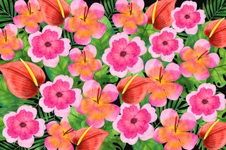 水彩花卉背景主题