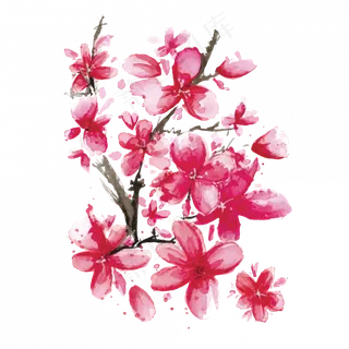 樱花开花植物免扣png